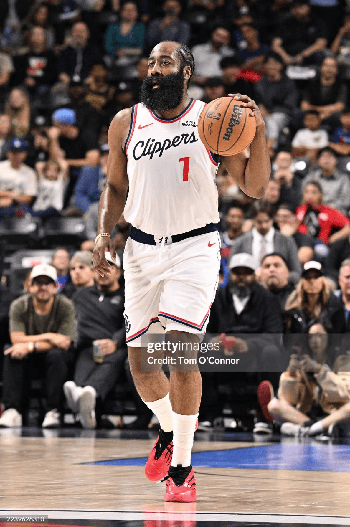 清晨洛杉矶快船备战CBA常规赛，刷新队史纪录细节曝光，管理层满意，年轻球员得到机会的简单介绍